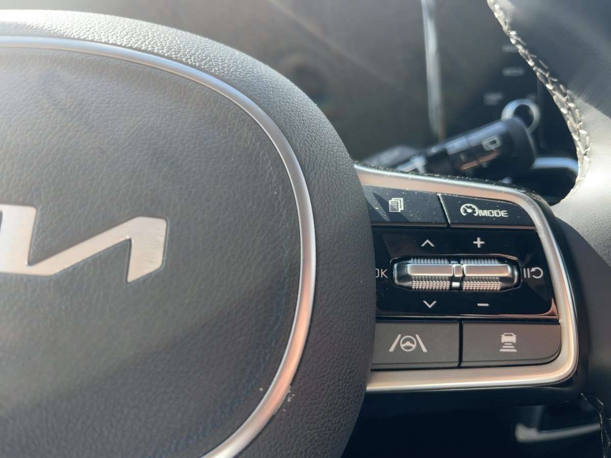 Fahrzeugbild eines Kia Sorento