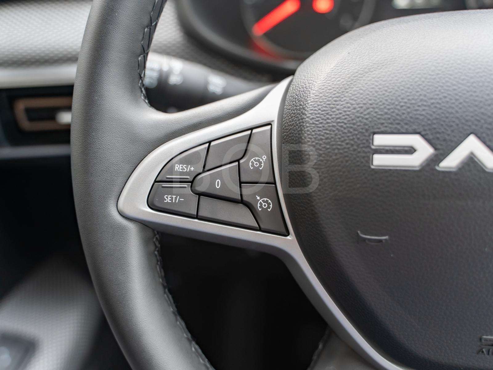 Fahrzeugbild eines Dacia Sandero