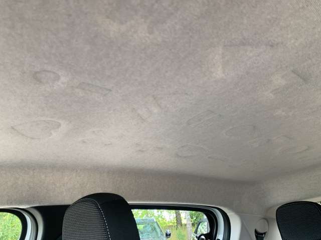 Fahrzeugbild eines Renault Twingo