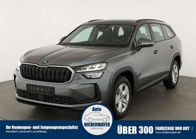 Bild Skoda Kodiaq