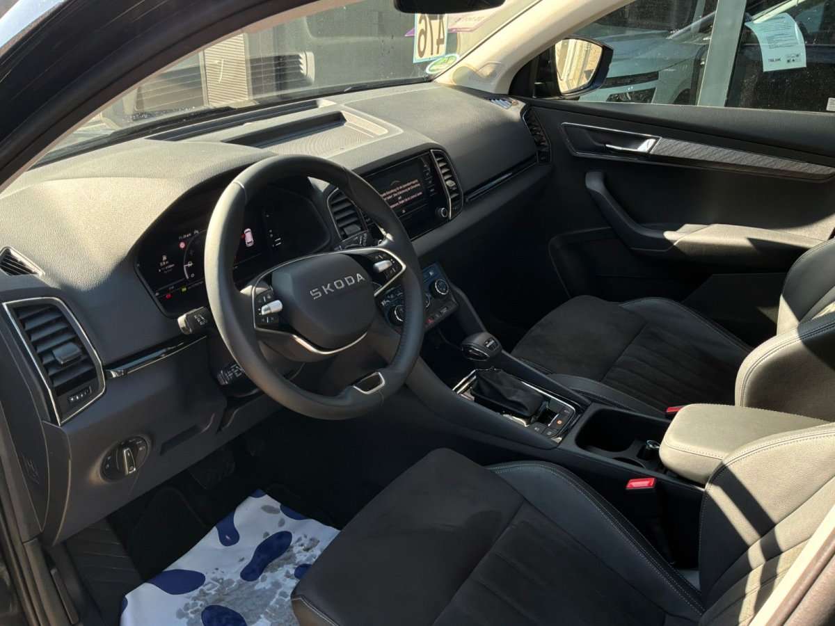 Fahrzeugbild eines Skoda Karoq
