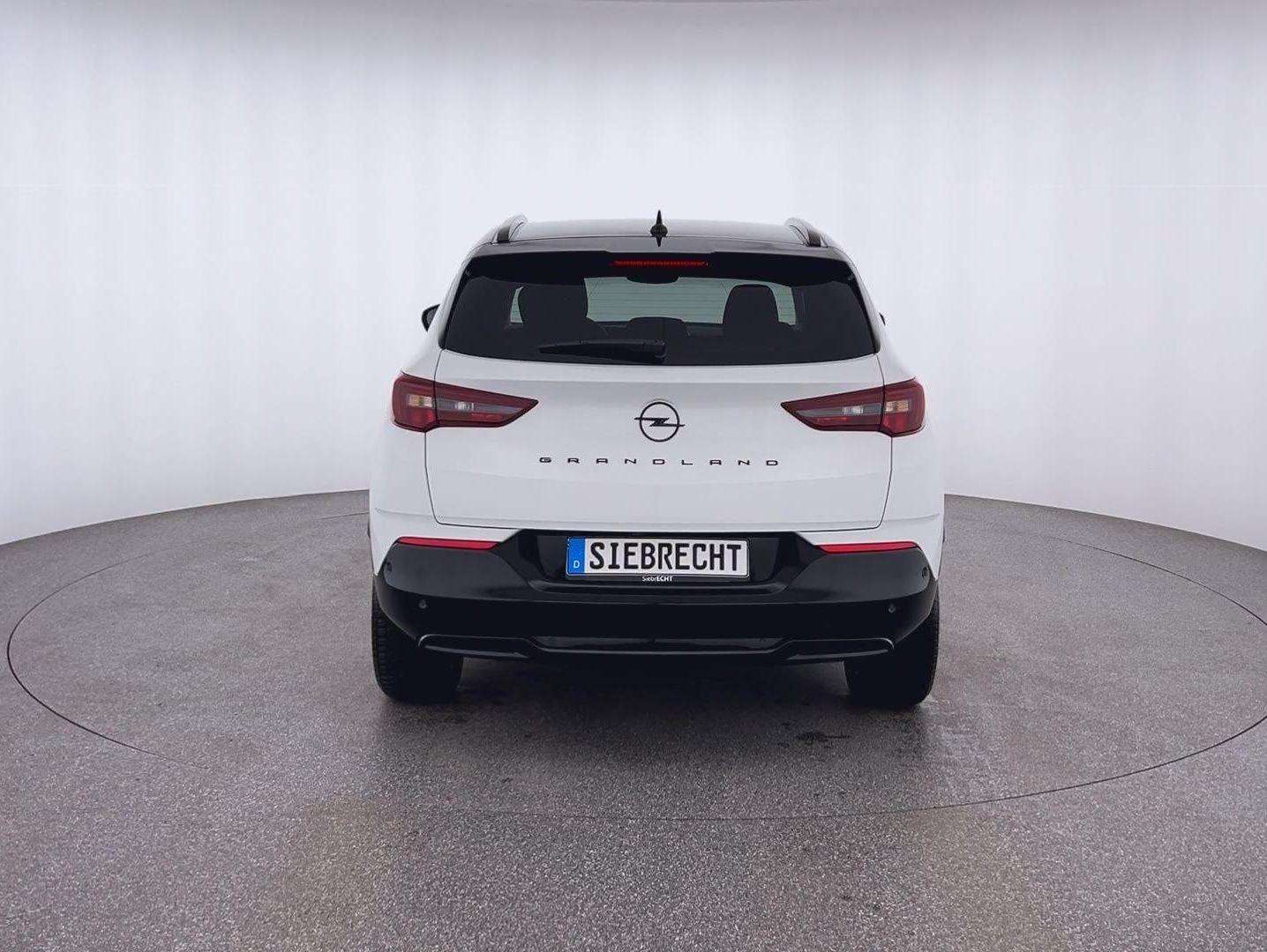 Fahrzeugbild eines Opel Grandland X
