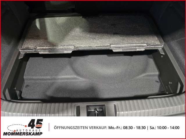Fahrzeugbild eines Mitsubishi Grandis