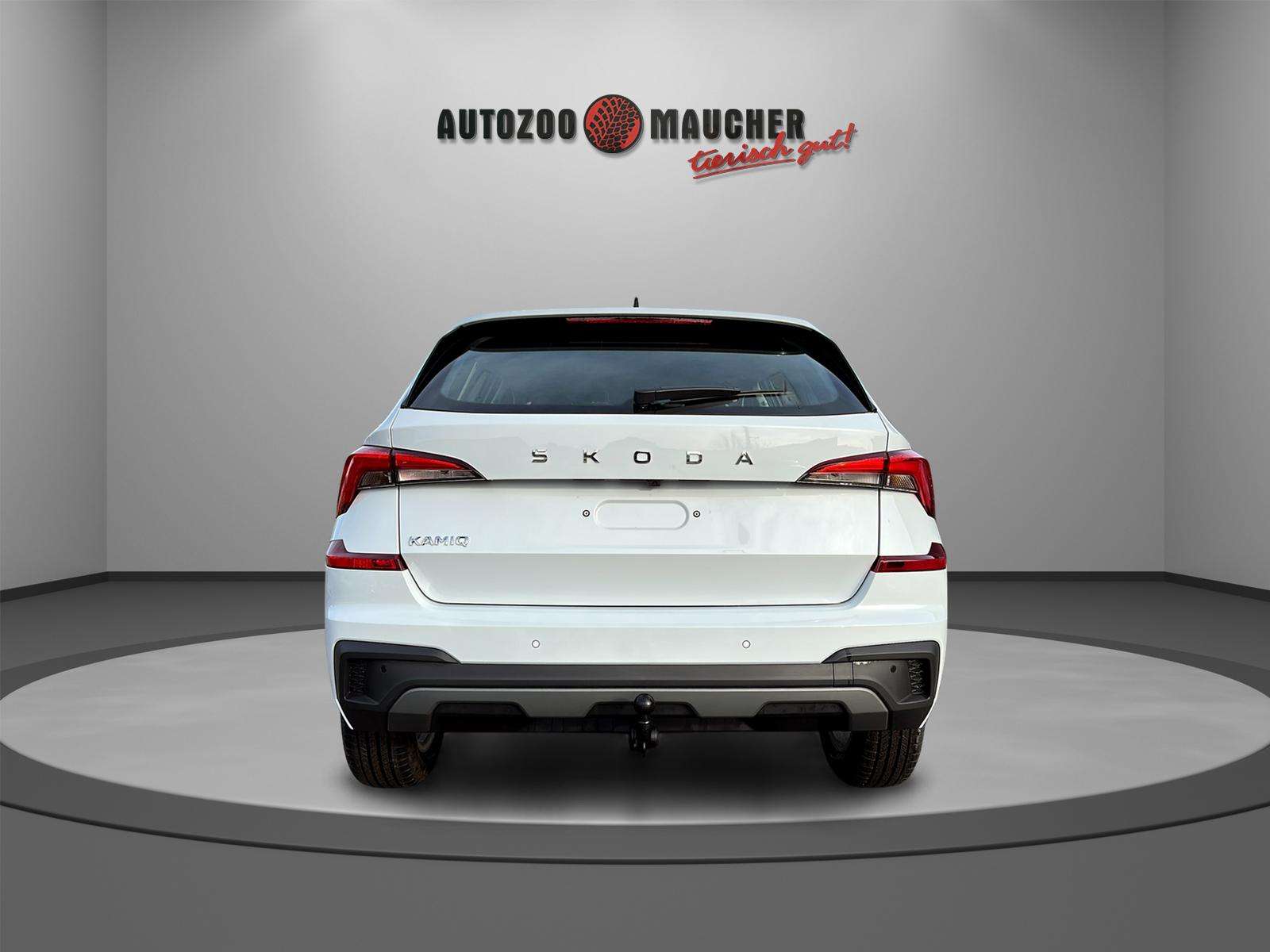 Fahrzeugbild eines Skoda Kamiq