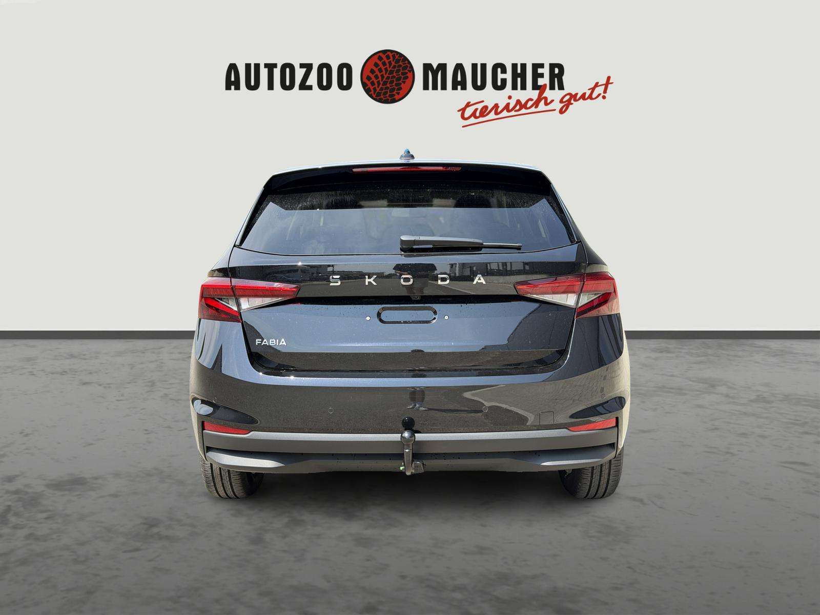 Fahrzeugbild eines Skoda Fabia