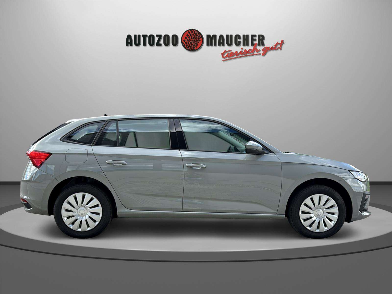 Fahrzeugbild eines Skoda Scala