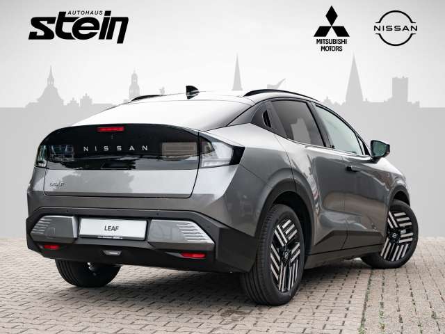 Fahrzeugbild eines Nissan Leaf