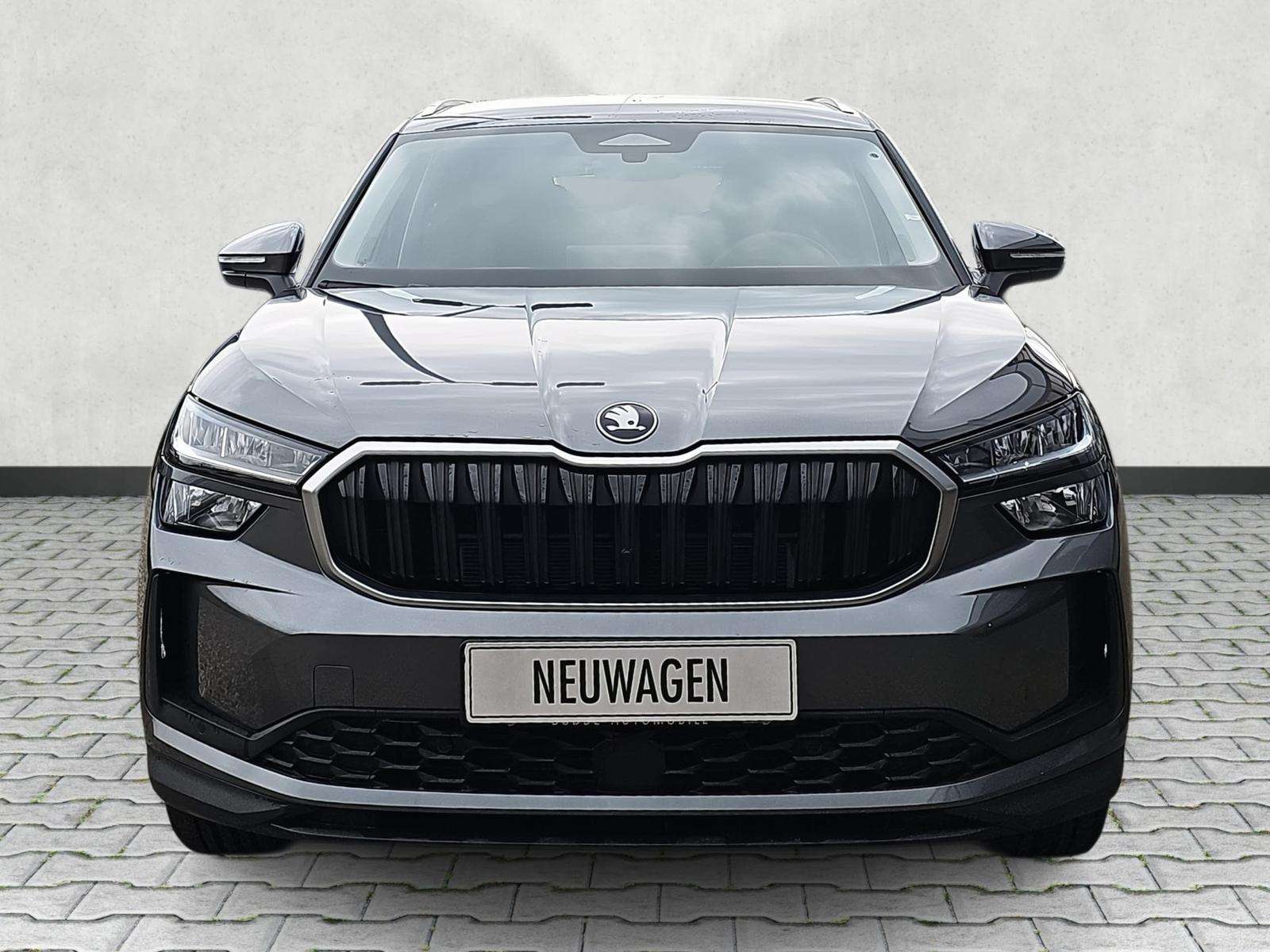 Fahrzeugbild eines Skoda Kodiaq