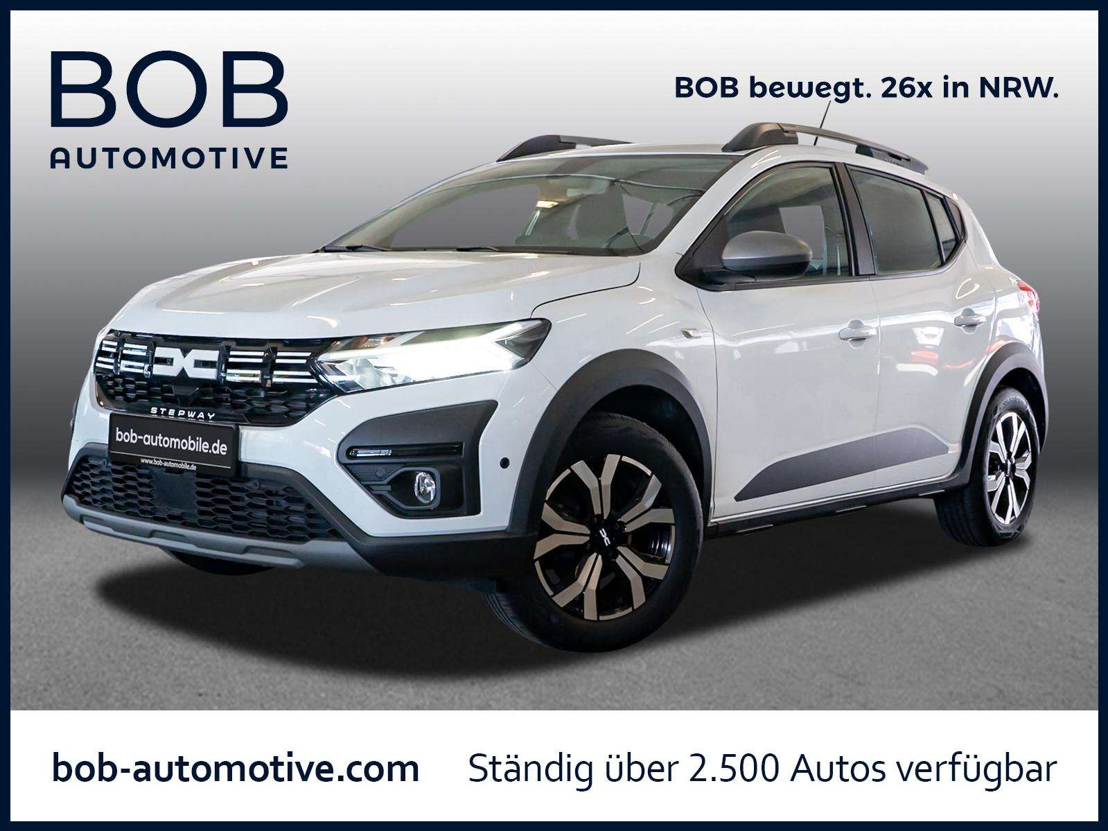 Fahrzeugbild eines Dacia Sandero