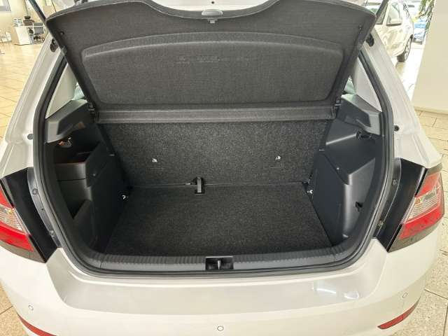 Fahrzeugbild eines Skoda Fabia