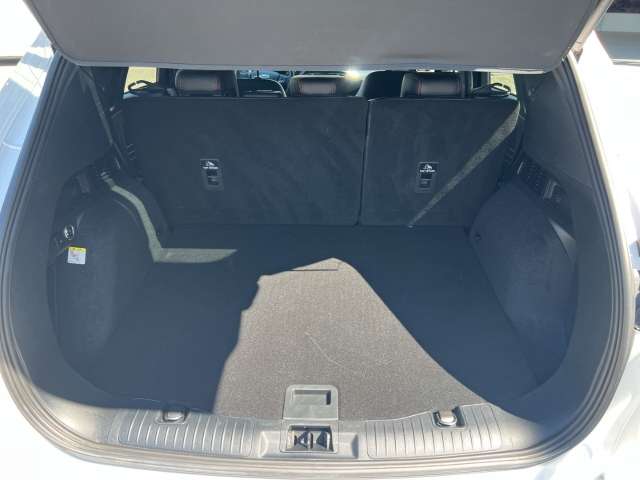 Fahrzeugbild eines Ford Kuga