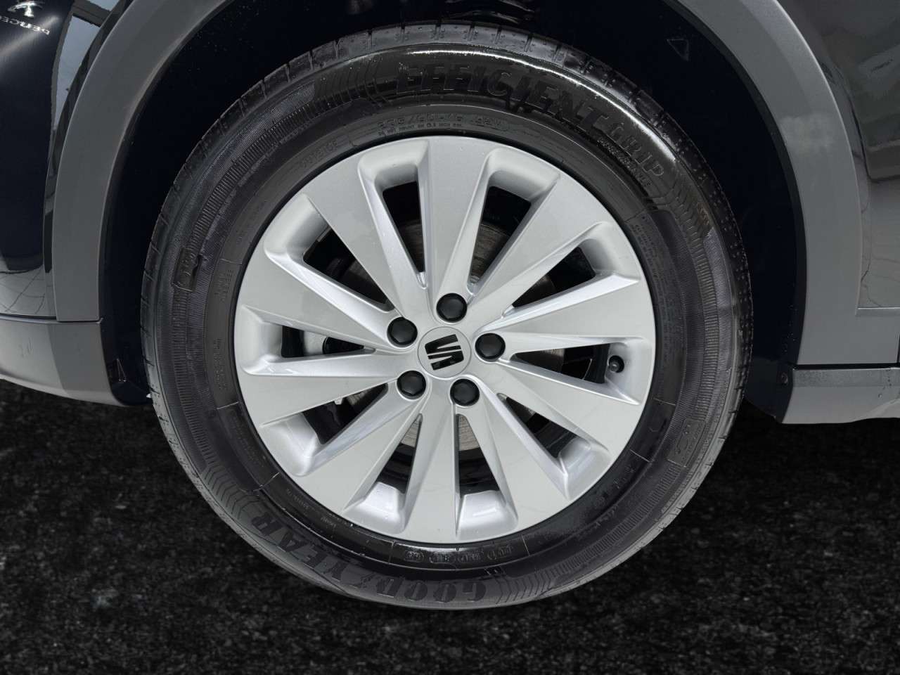 Fahrzeugbild eines SEAT Arona