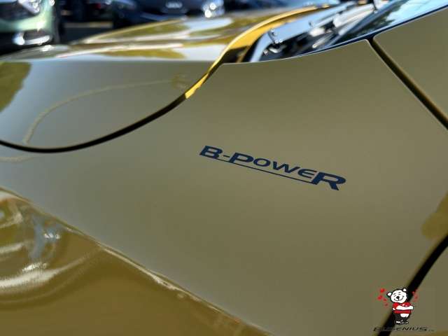 Fahrzeugbild eines Kia XCeed