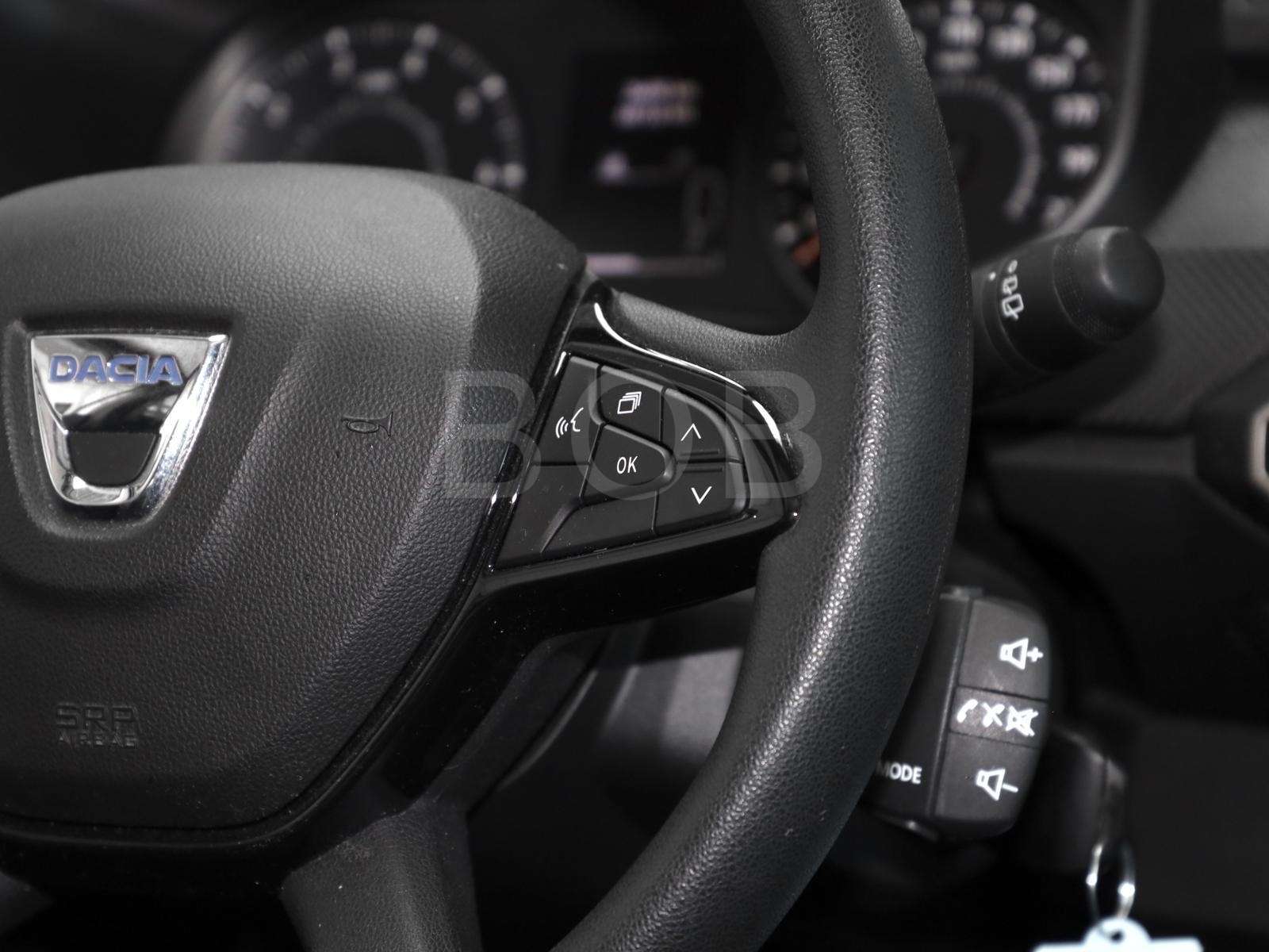 Fahrzeugbild eines Dacia Sandero