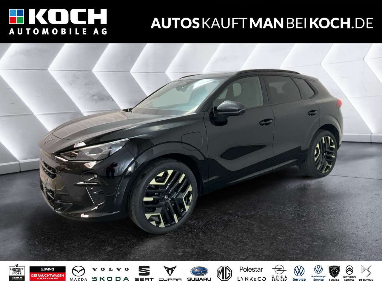 Fahrzeugbild eines CUPRA Terramar