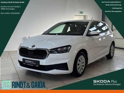 Bild Skoda Fabia