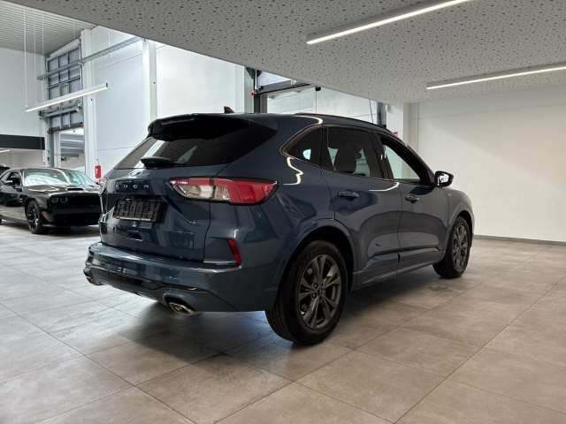 Fahrzeugbild eines Ford Kuga