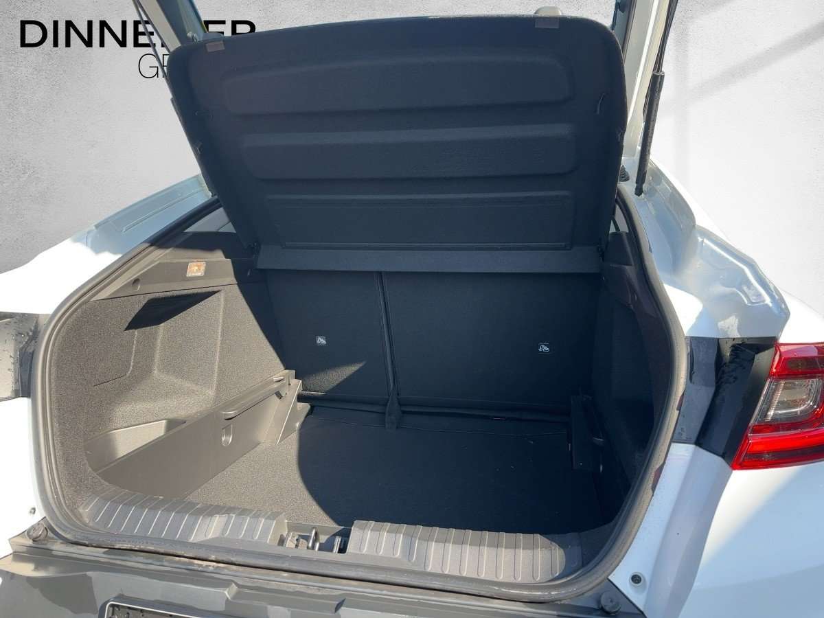 Fahrzeugbild eines Renault Arkana