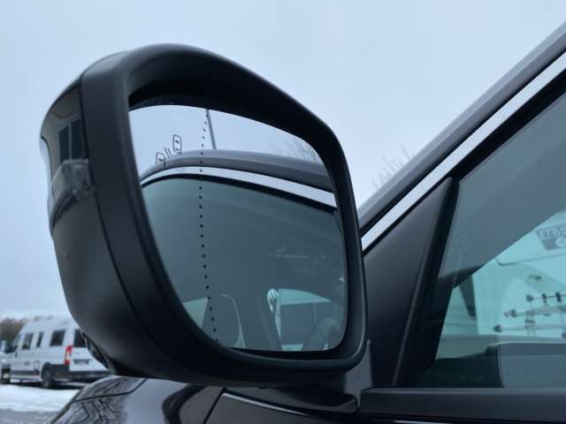 Fahrzeugbild eines Renault Austral