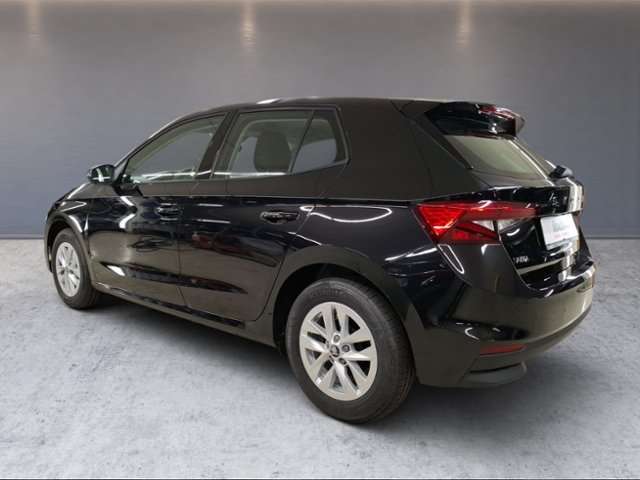 Fahrzeugbild eines Skoda Fabia