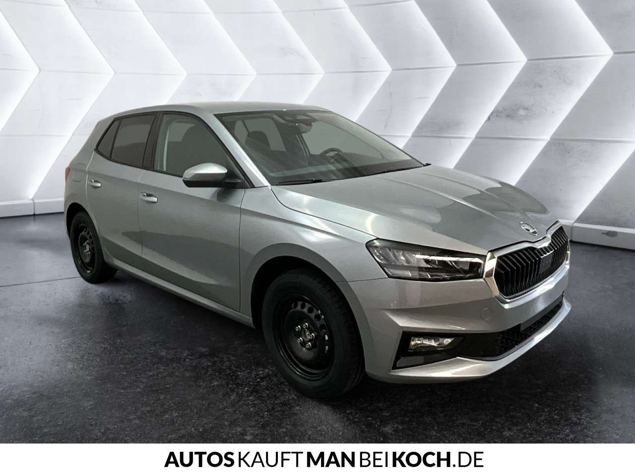 Fahrzeugbild eines Skoda Fabia