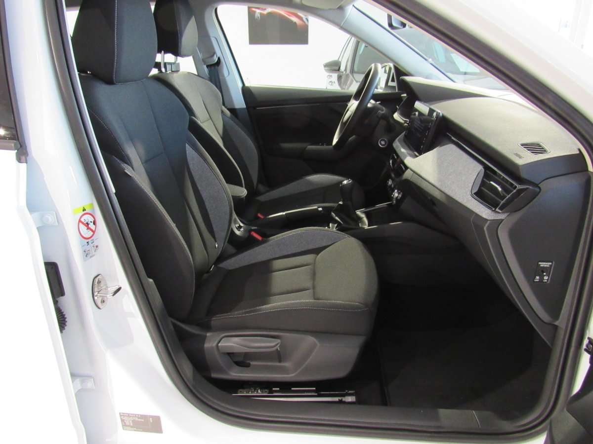 Fahrzeugbild eines Skoda Kamiq