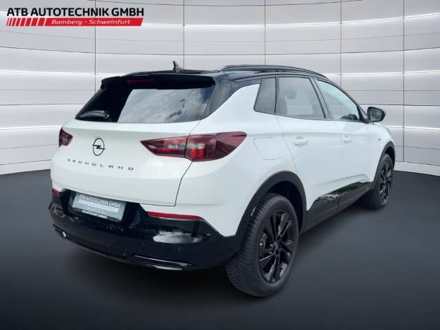 Fahrzeugbild eines Opel Grandland X