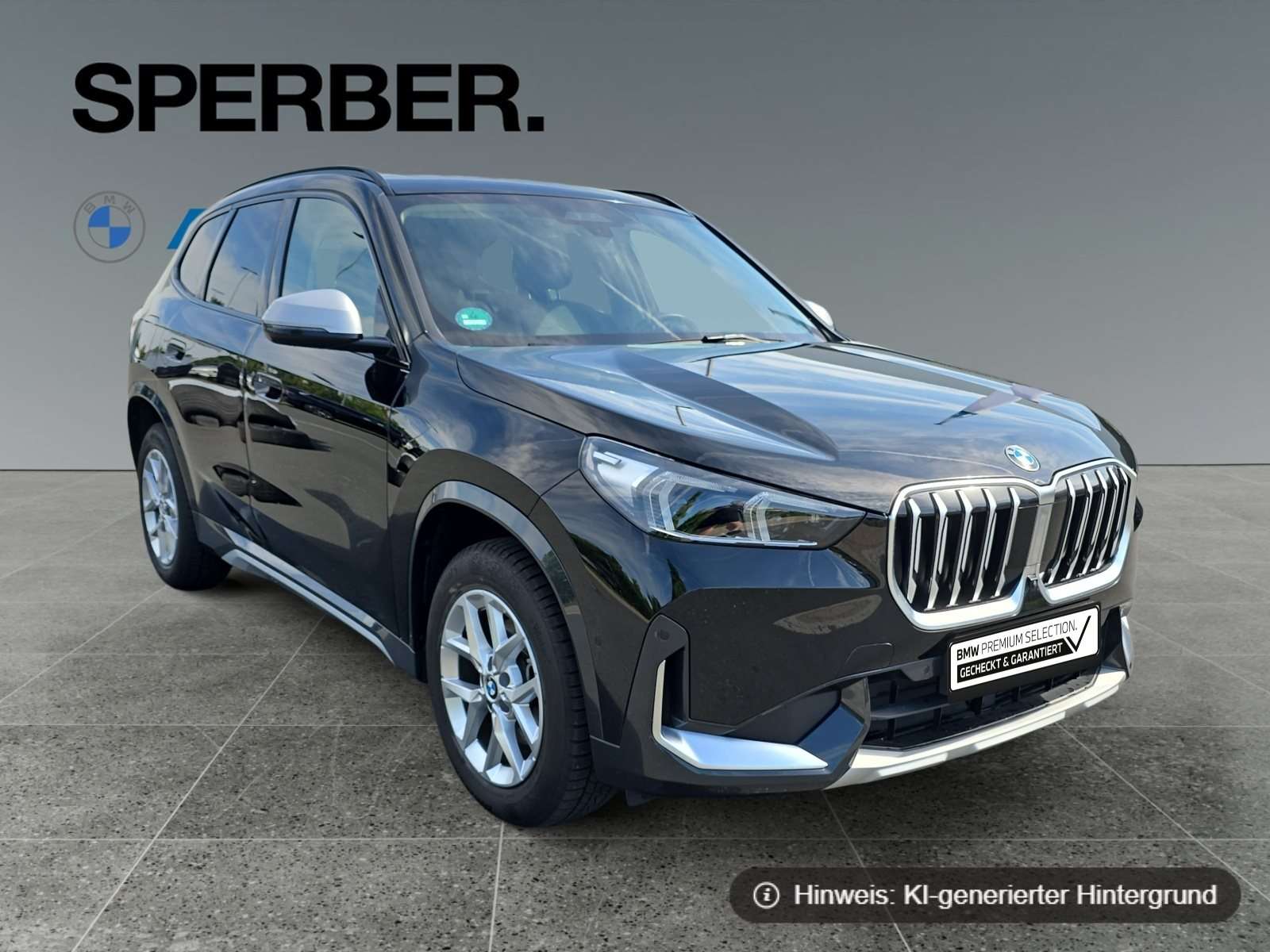 Fahrzeugbild eines BMW X1