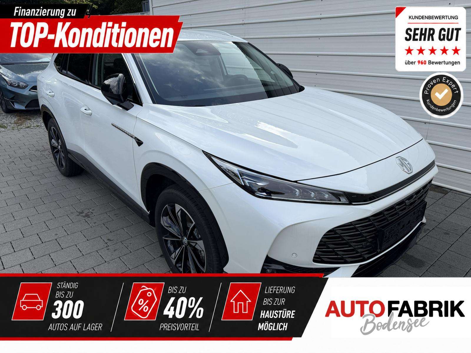 Fahrzeugbild eines MG HS