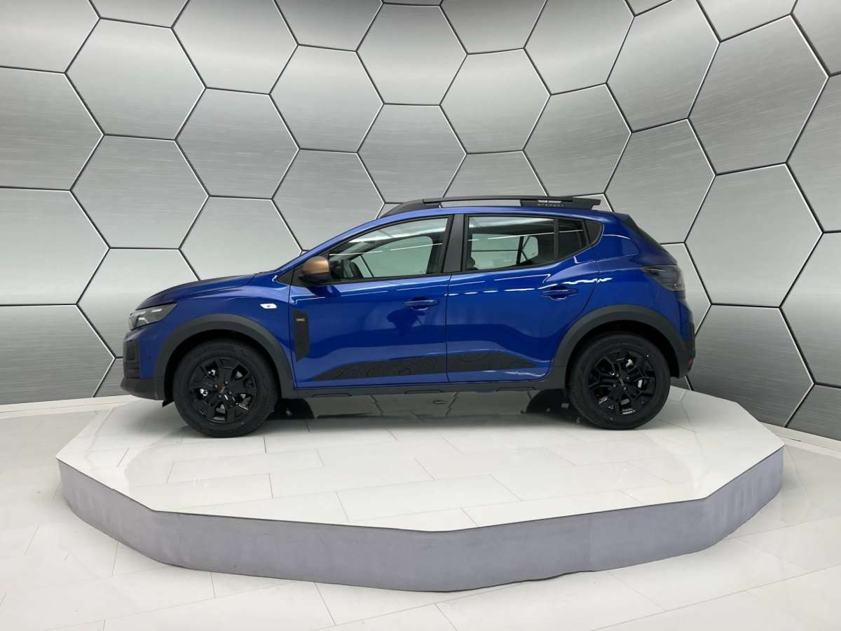 Fahrzeugbild eines Dacia Sandero
