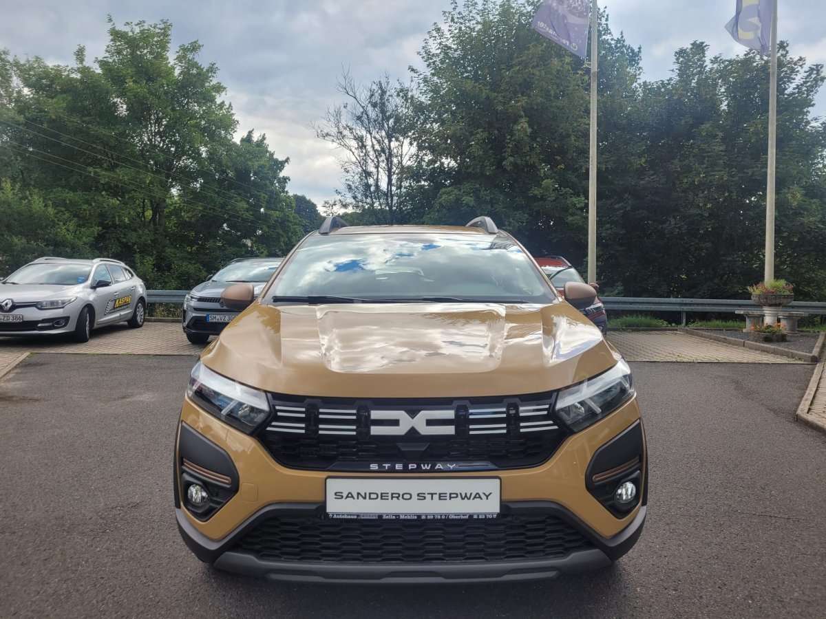 Fahrzeugbild eines Dacia Sandero