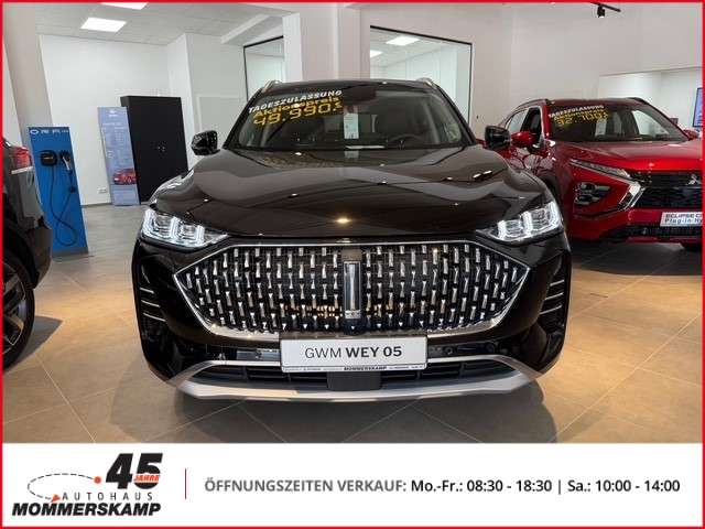 Fahrzeugbild eines GWM Wey 05