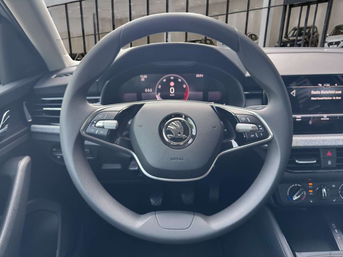 Fahrzeugbild eines Skoda Scala