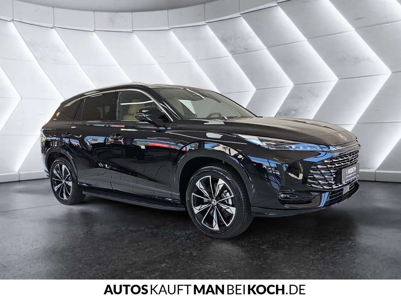 Fahrzeugbild eines MG HS