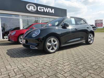 Bild GWM Ora 03