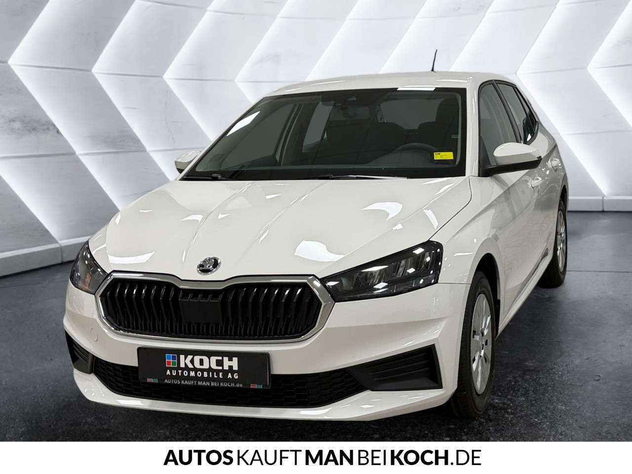 Fahrzeugbild eines Skoda Fabia