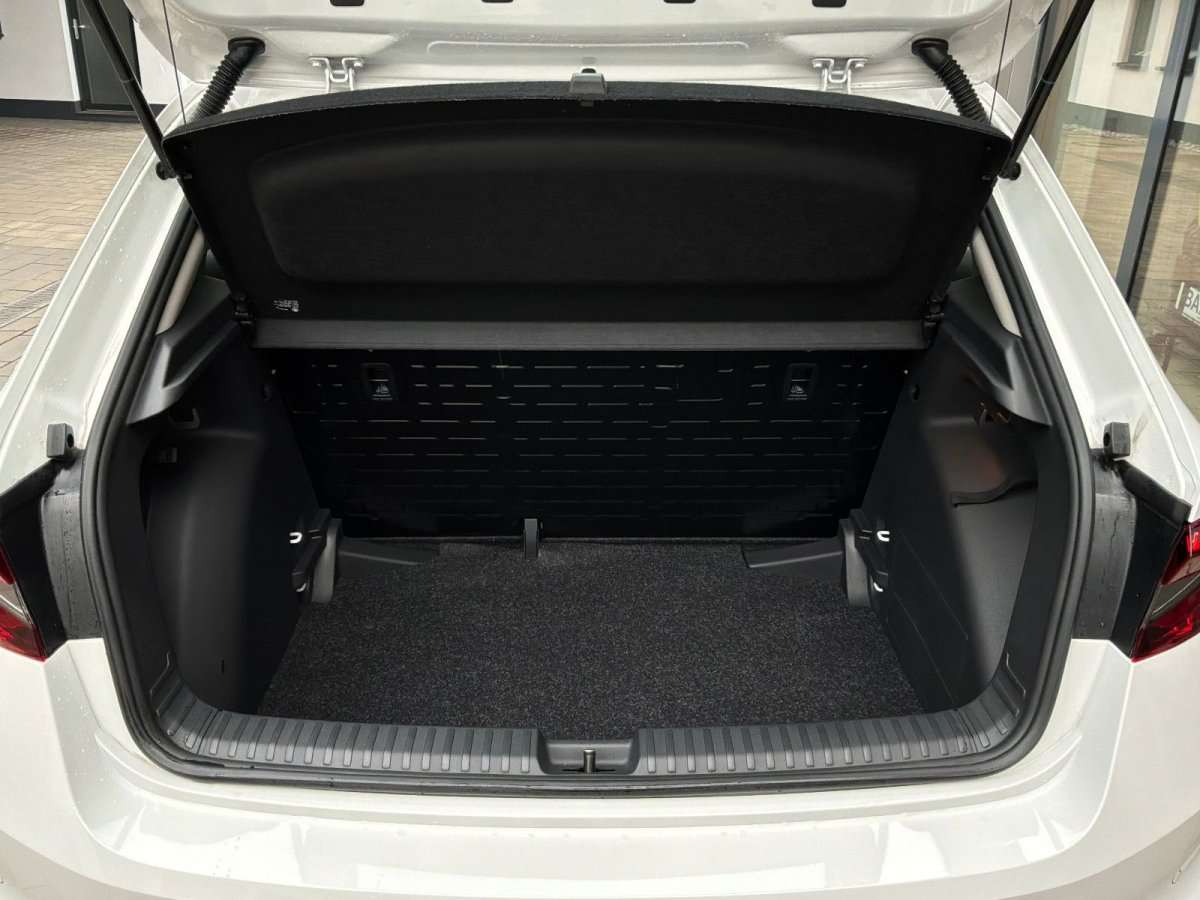 Fahrzeugbild eines Skoda Fabia