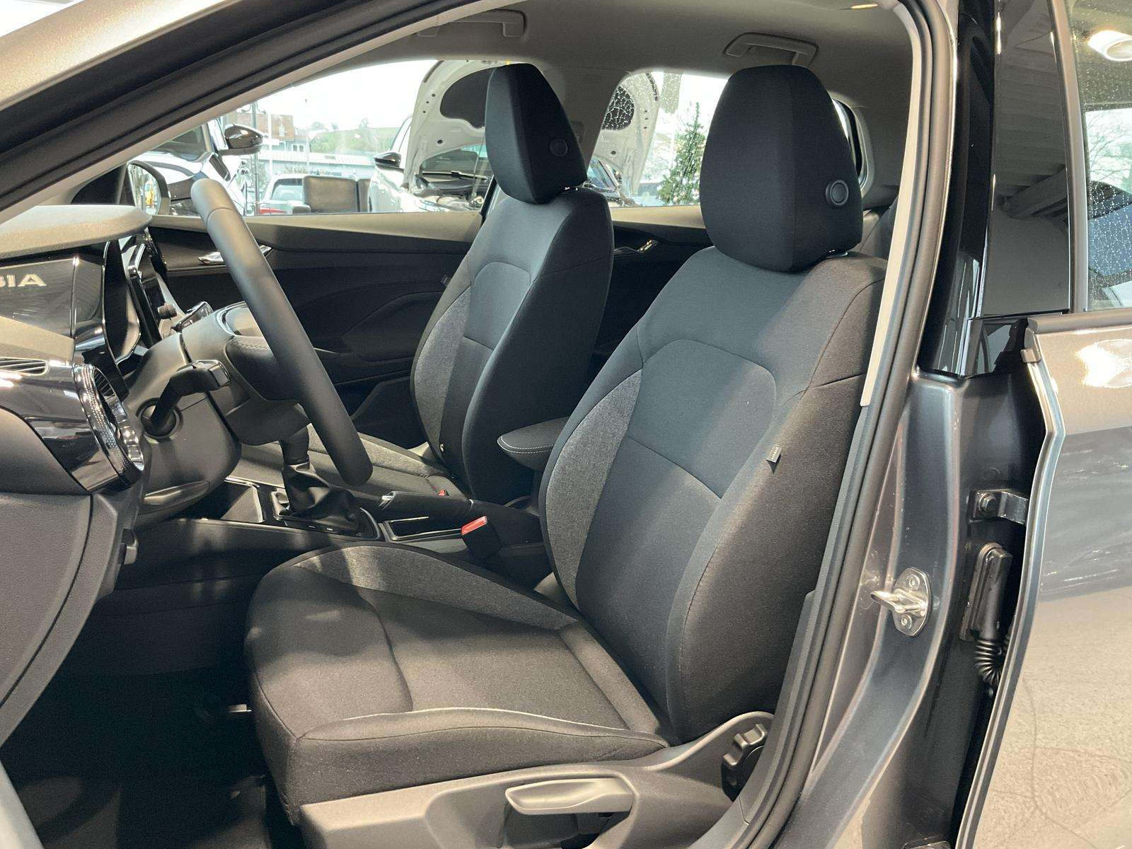 Fahrzeugbild eines Skoda Fabia