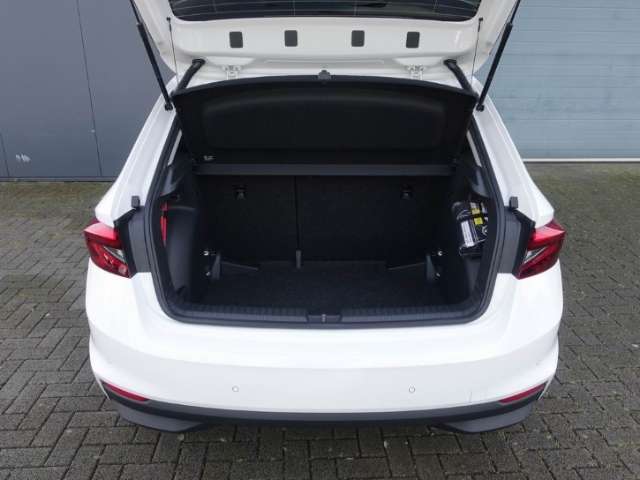 Fahrzeugbild eines Skoda Fabia