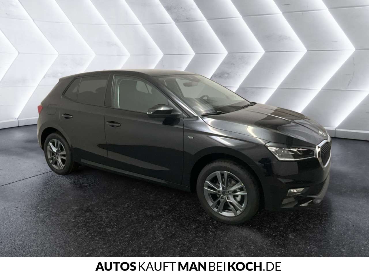 Fahrzeugbild eines Skoda Fabia