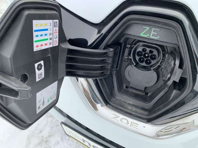 Fahrzeugbild eines Renault ZOE