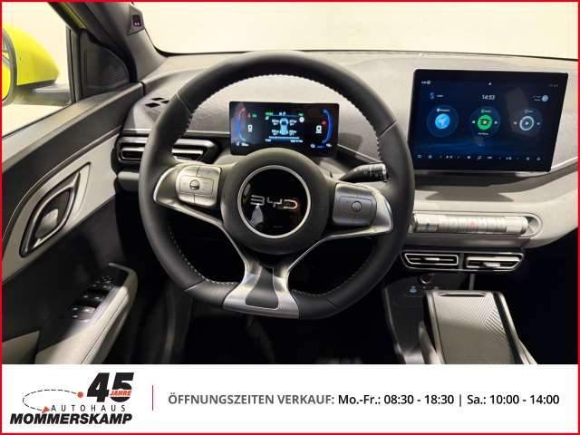 Fahrzeugbild eines BYD DOLPHIN