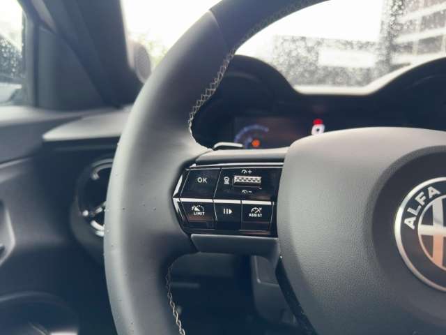 Fahrzeugbild eines Alfa Romeo Junior