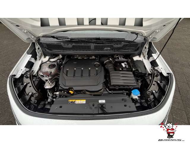 Fahrzeugbild eines Ford Tourneo