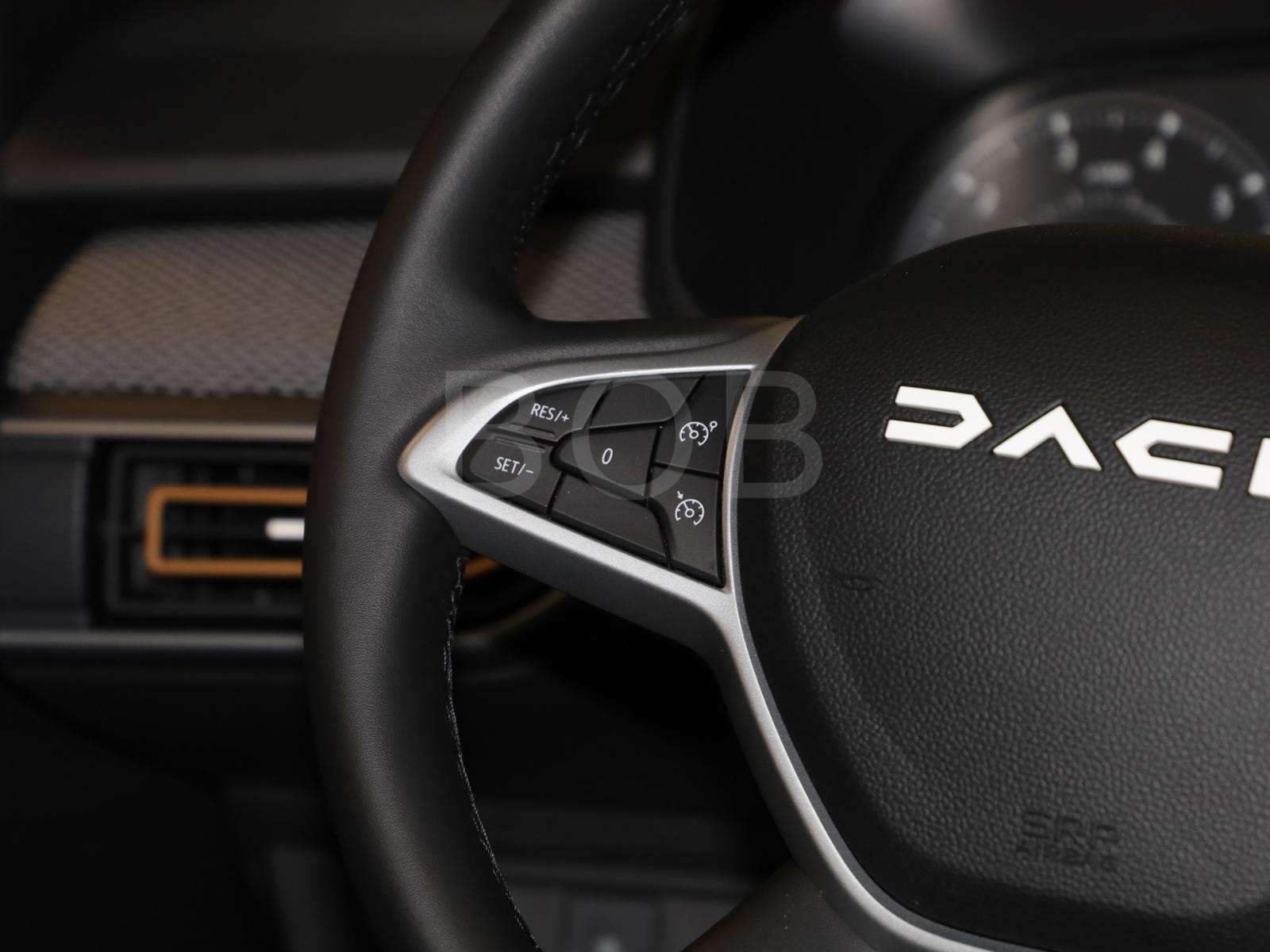 Fahrzeugbild eines Dacia Sandero