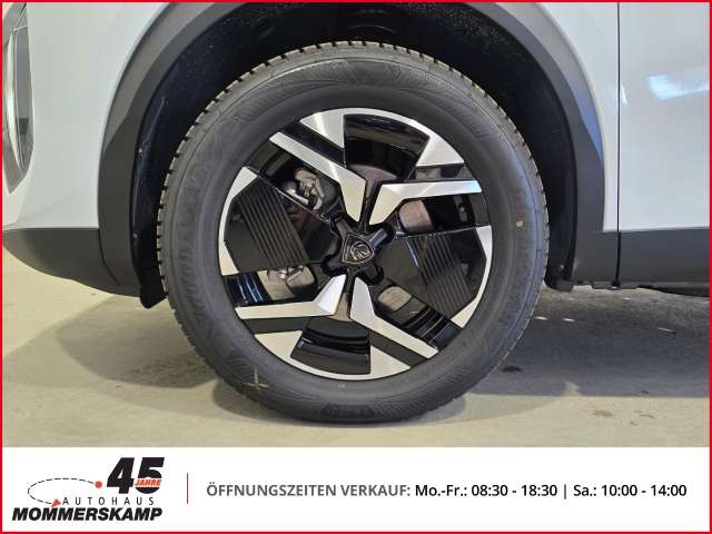 Fahrzeugbild eines Peugeot 2008