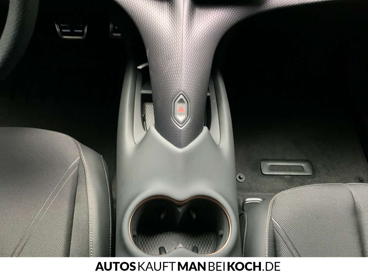 Fahrzeugbild eines CUPRA Tavascan