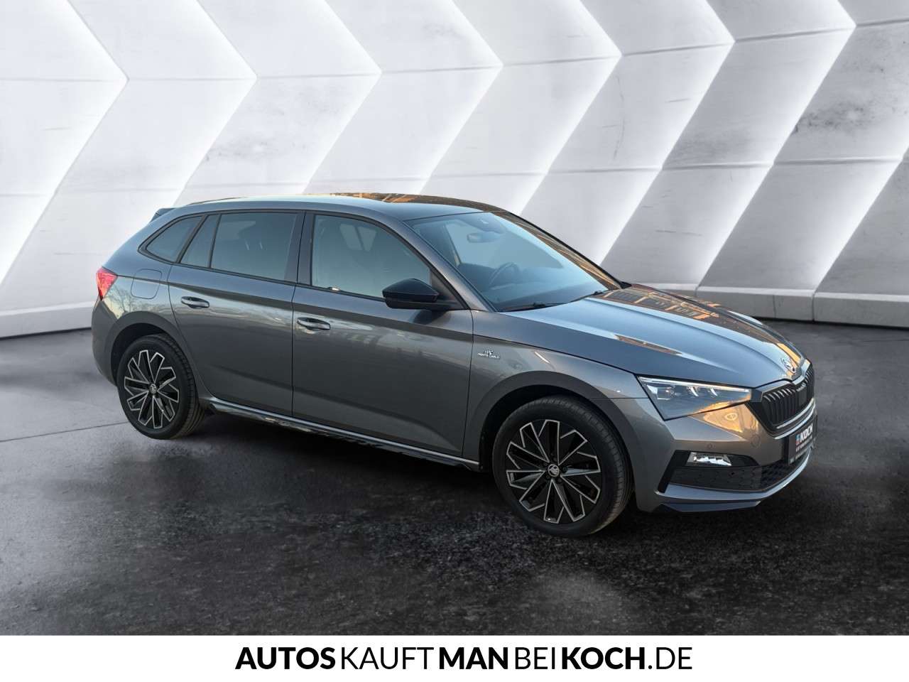 Fahrzeugbild eines Skoda Scala