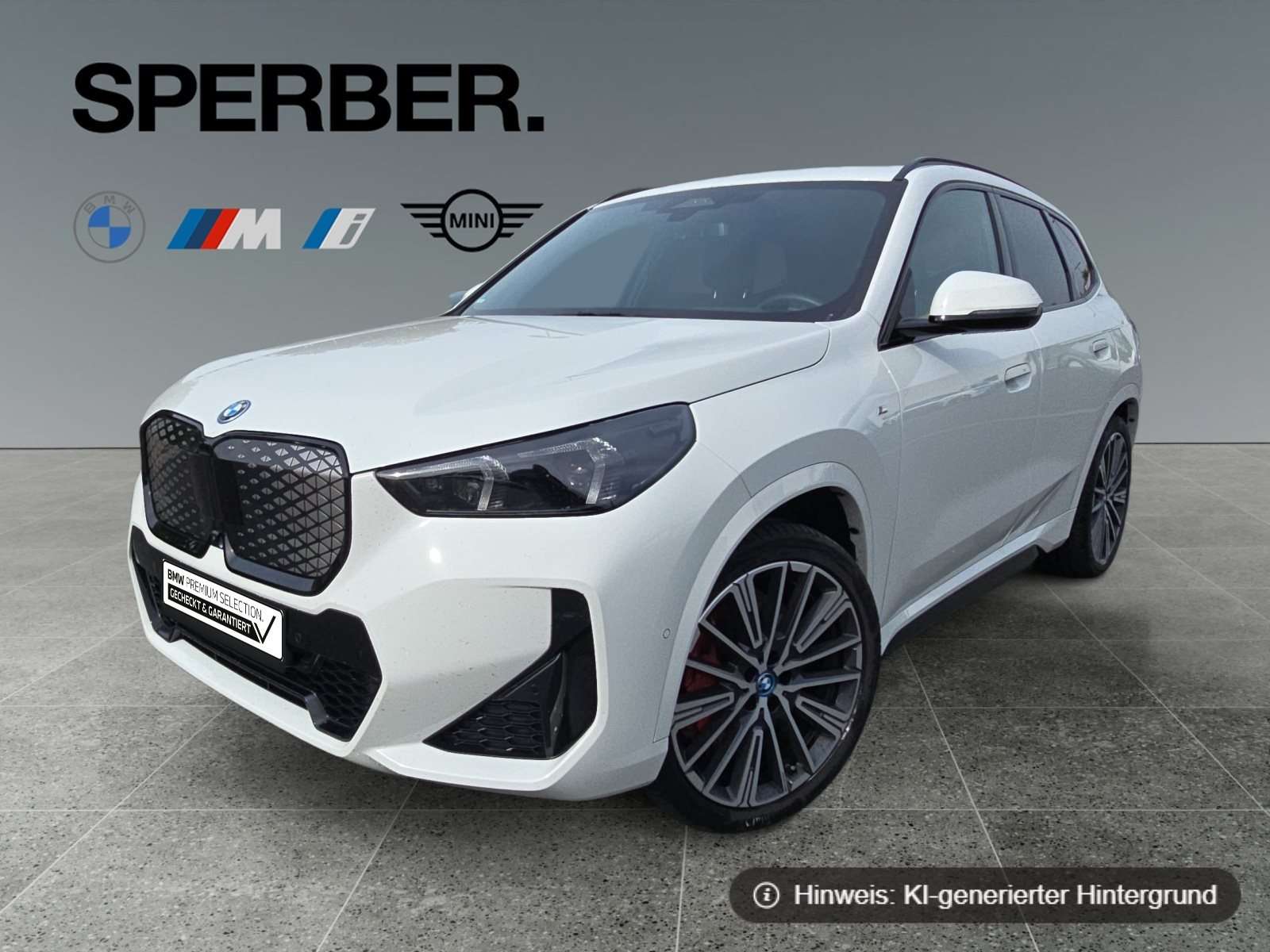 Fahrzeugbild eines BMW iX1