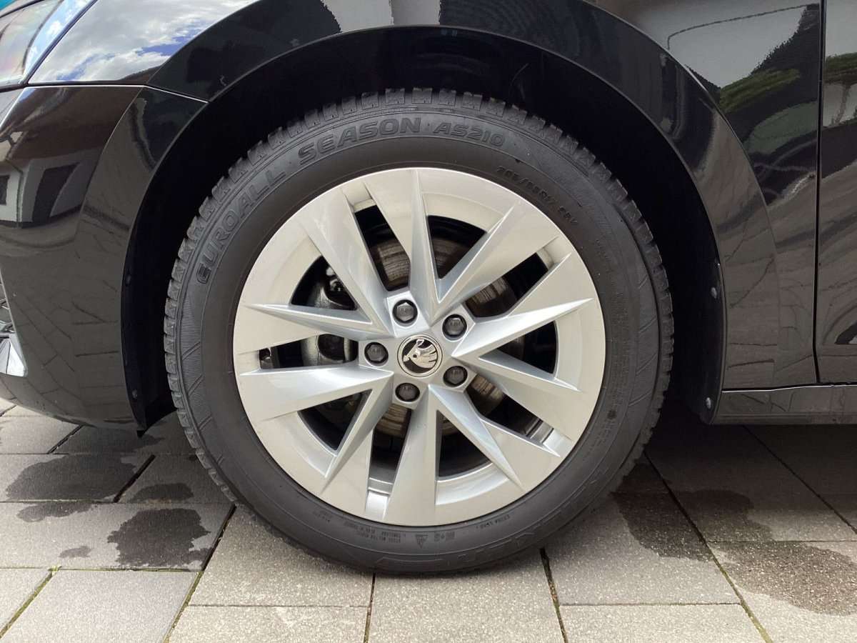 Fahrzeugbild eines Skoda Octavia